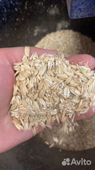 Овес, ячмень и кукуруза плющеный