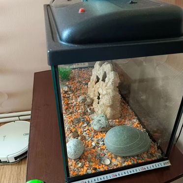 Аквариум 120 л с крышкой и подсветкой + аксессуары