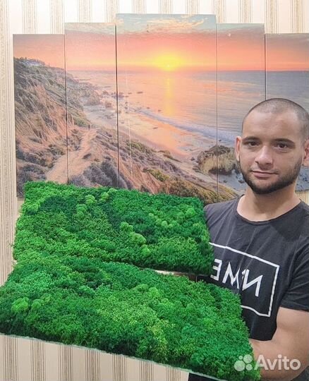 Натуральные живые яркие панно 25х50см из мха