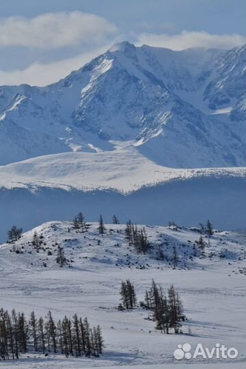 Услуга: Аренда джипа с водителем