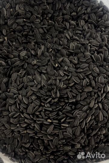 Подсолнечник кондитерский с ядром