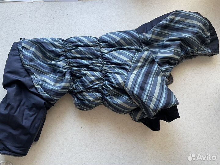 Комбинезон Dogmoda, р.5