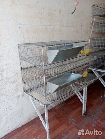 Клетки для перепелов бу