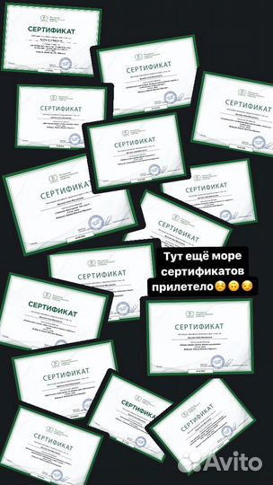 Занятия с кинологом