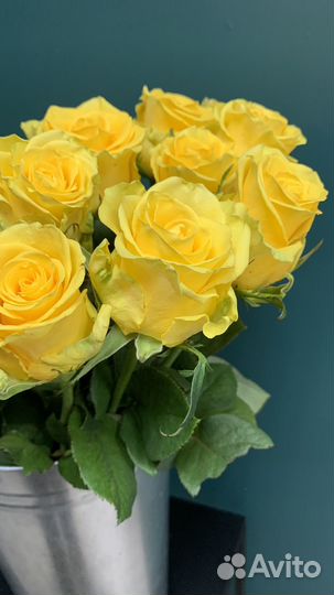 Цветы розы и букеты с доставкой 24 часа