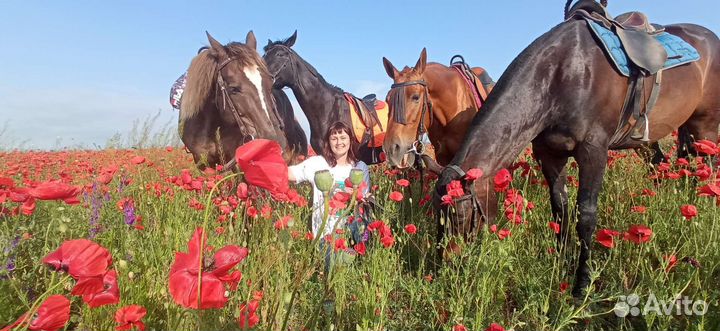 Прогулки на лошадях