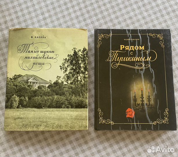 Книги о Петербурге. Литературный Петербург