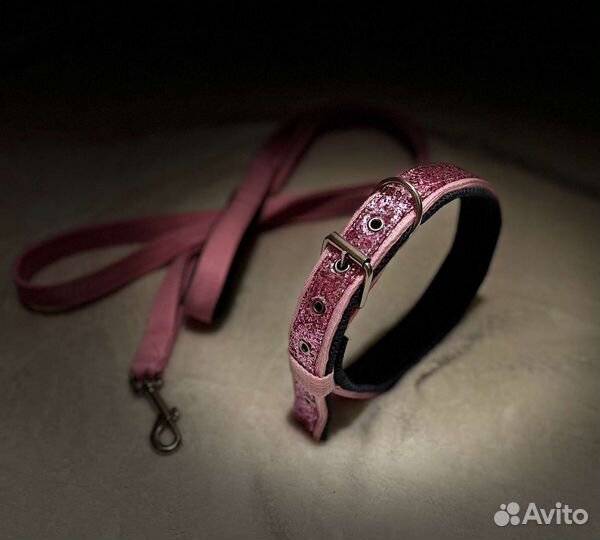 Ошейник и поводок для собак