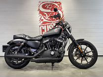 Harley Davidson Sportster 883, 11829 км, 2016