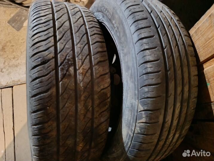 Gislaved Nord Frost V 185/60 R14