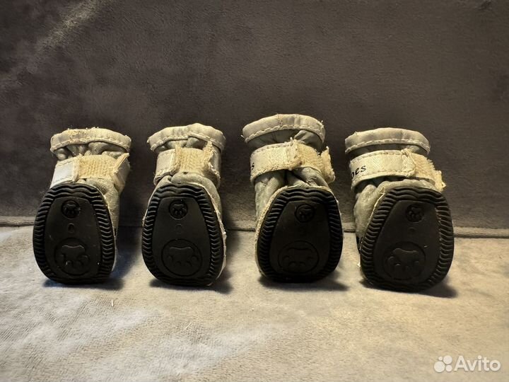 Ботинки для собак мелких пород