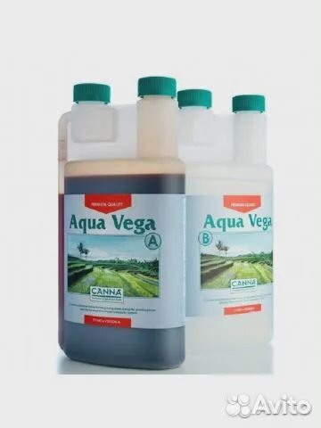 Canna aqua vega А+В 1Л