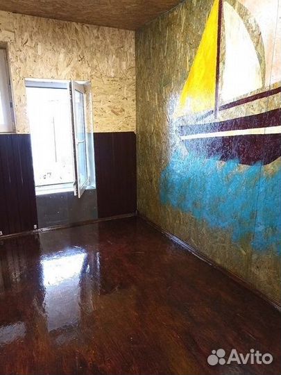 Зоо отдых кошек и собак