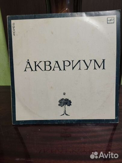 Винил 