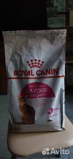 Корм для кошек