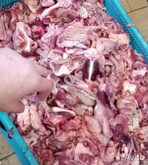 Мясо для собак