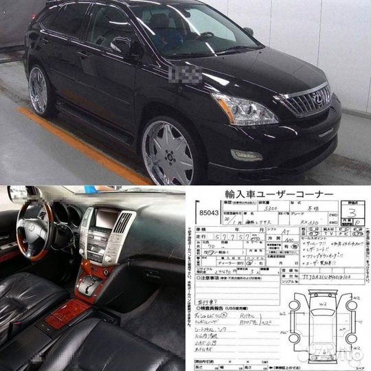 Шаровая опора передняя правая Lexus Rx330 MCU33