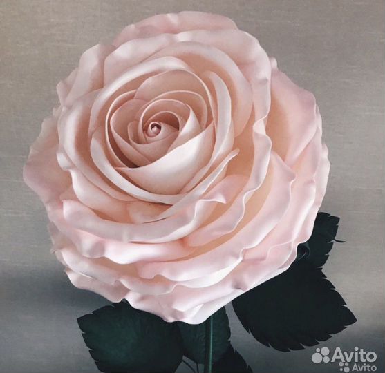 Роза большая ростовая