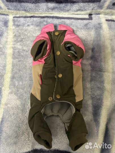 Комбинезон для маленькой собаки s