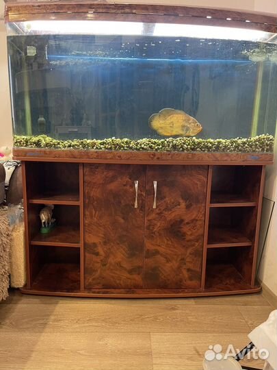 Аквариум jebo 300 л