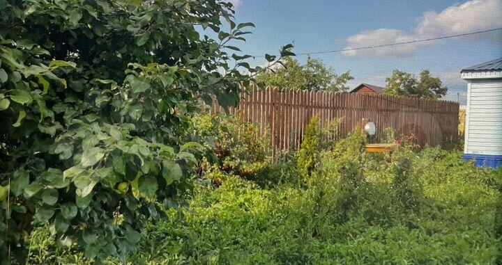 Участок 25 сот. (ИЖС)