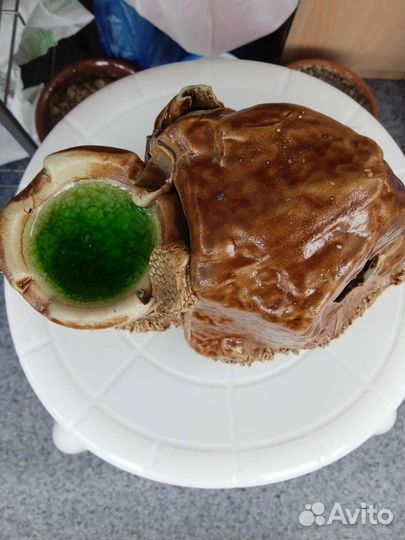 Домик для рыбок