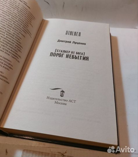 Сталкер от бога. Порог небытия. Луценко Д. Е