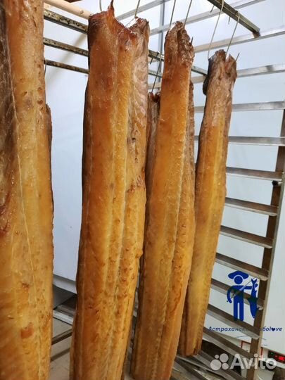Балык сома холодного копчения из Астрахани