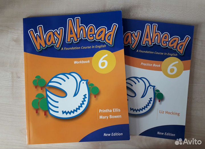 Way ahead 6 workbook + practice book