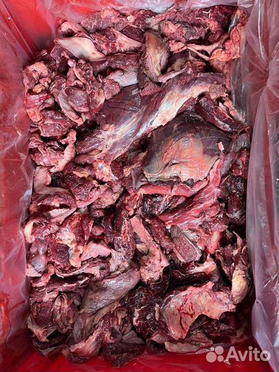 Корм для собак