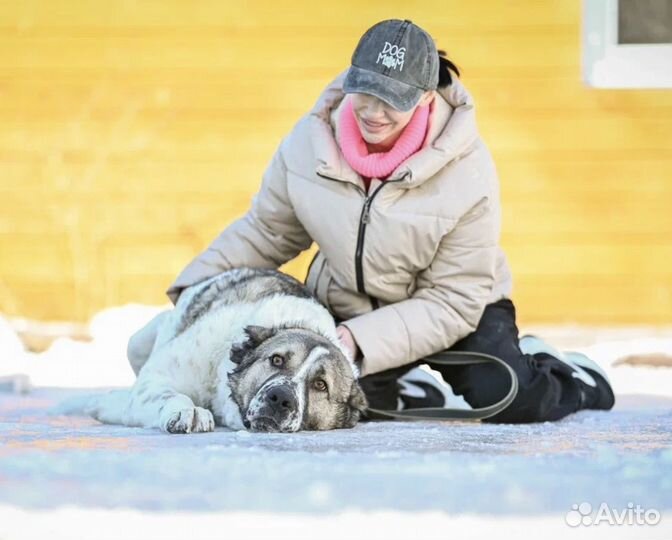 Предательство души