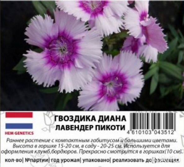 Гвоздика Диана семена