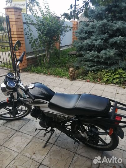 Motoland alpha rx11