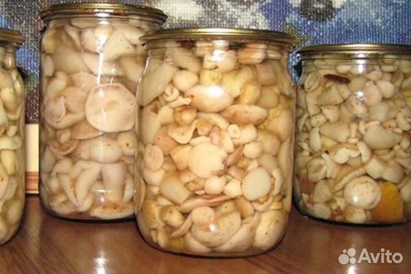 Соленые рыжики и маринованные маслята