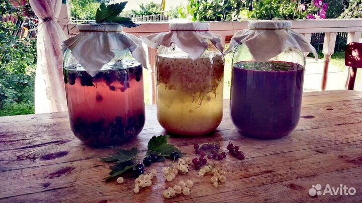 Уксус домашний живого брожения на меду