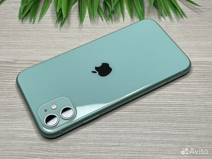 iPhone 11 128GB Green