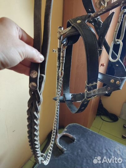 Шлейка кожаная для большой собаки и поводок