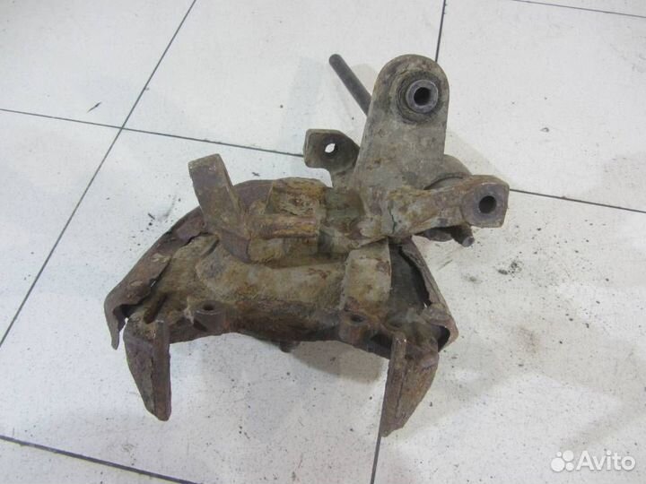 Кулак задний левый