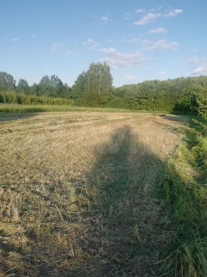 Участок 15 сот. (ИЖС)