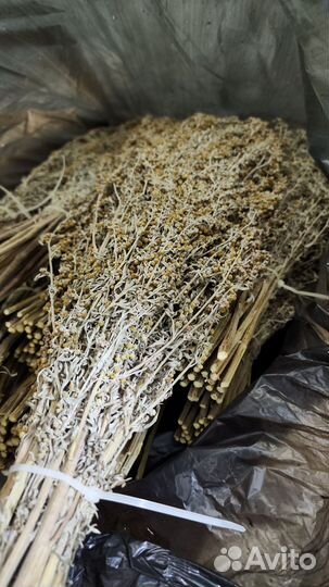 Веники для бани