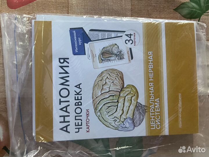 Карточки по анатомии человека