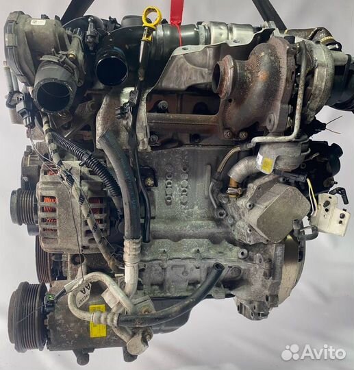 Двигатель T1DB Ford Focus 3