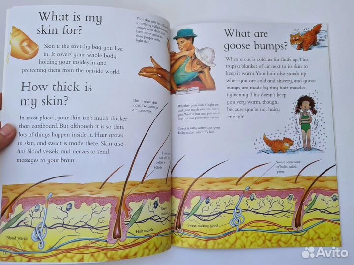 Книги на английском языке I wonder WHY