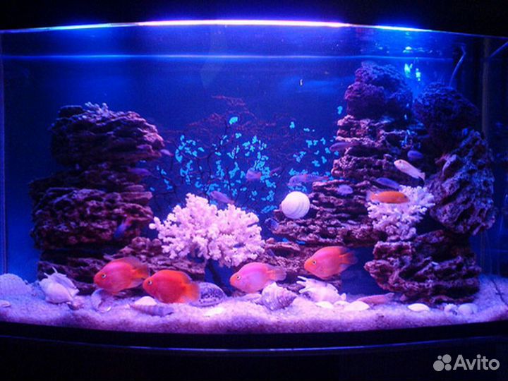 Чистка аквариума