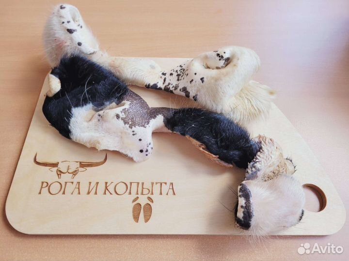 Субпродукты говяжьи. Пищевые. Еда, корм для собак