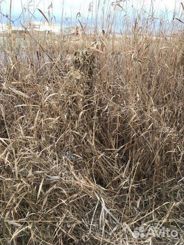 Маскировочный халат Сухой камыш