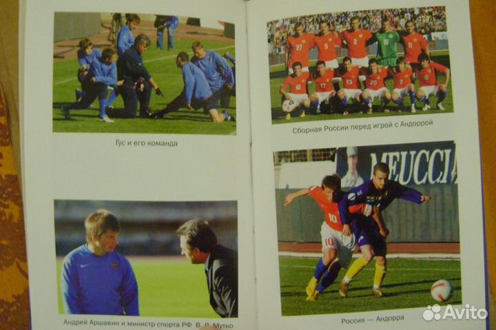 Евро 2008. Гус и его команда