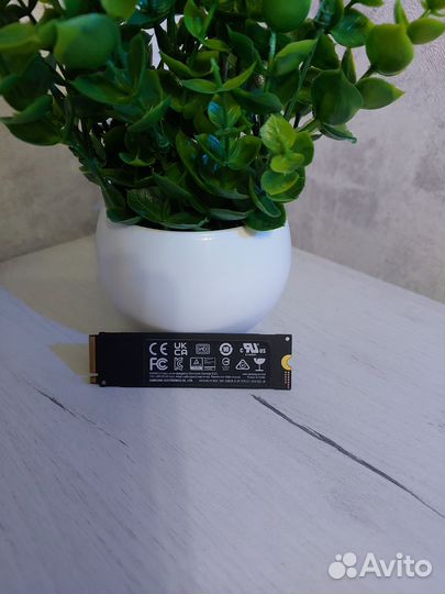 Ssd Samsung m2 nvme 970 Evo Plus 500 GB