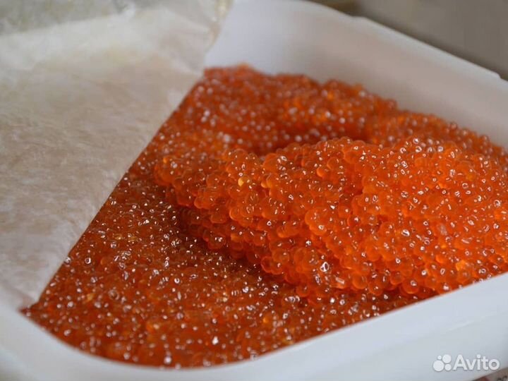 Красная икра лососевых