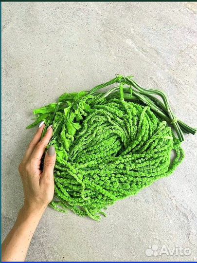 Амаpaнт крапива, ель, утолщенный